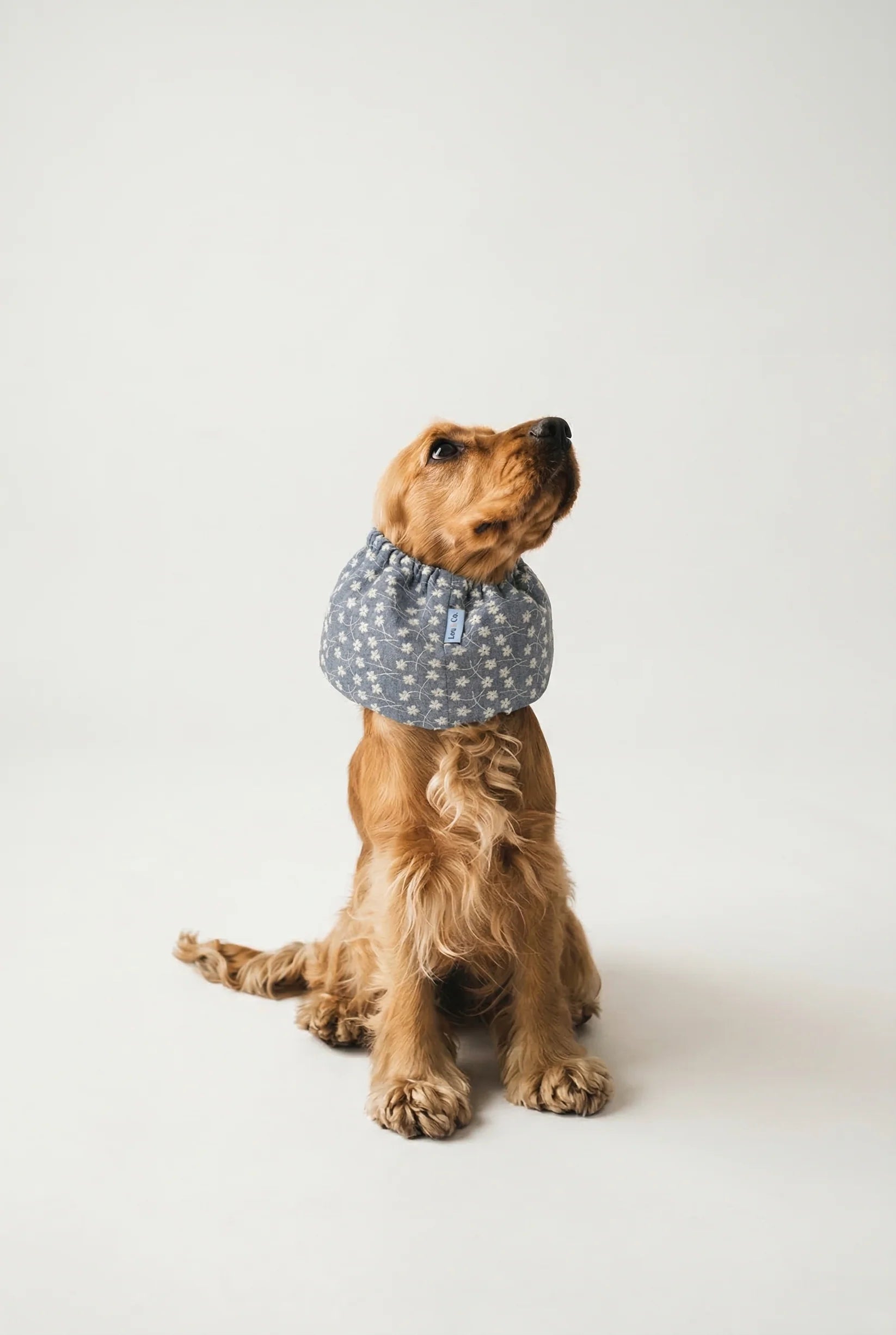 Snood - Summer wildflower blue