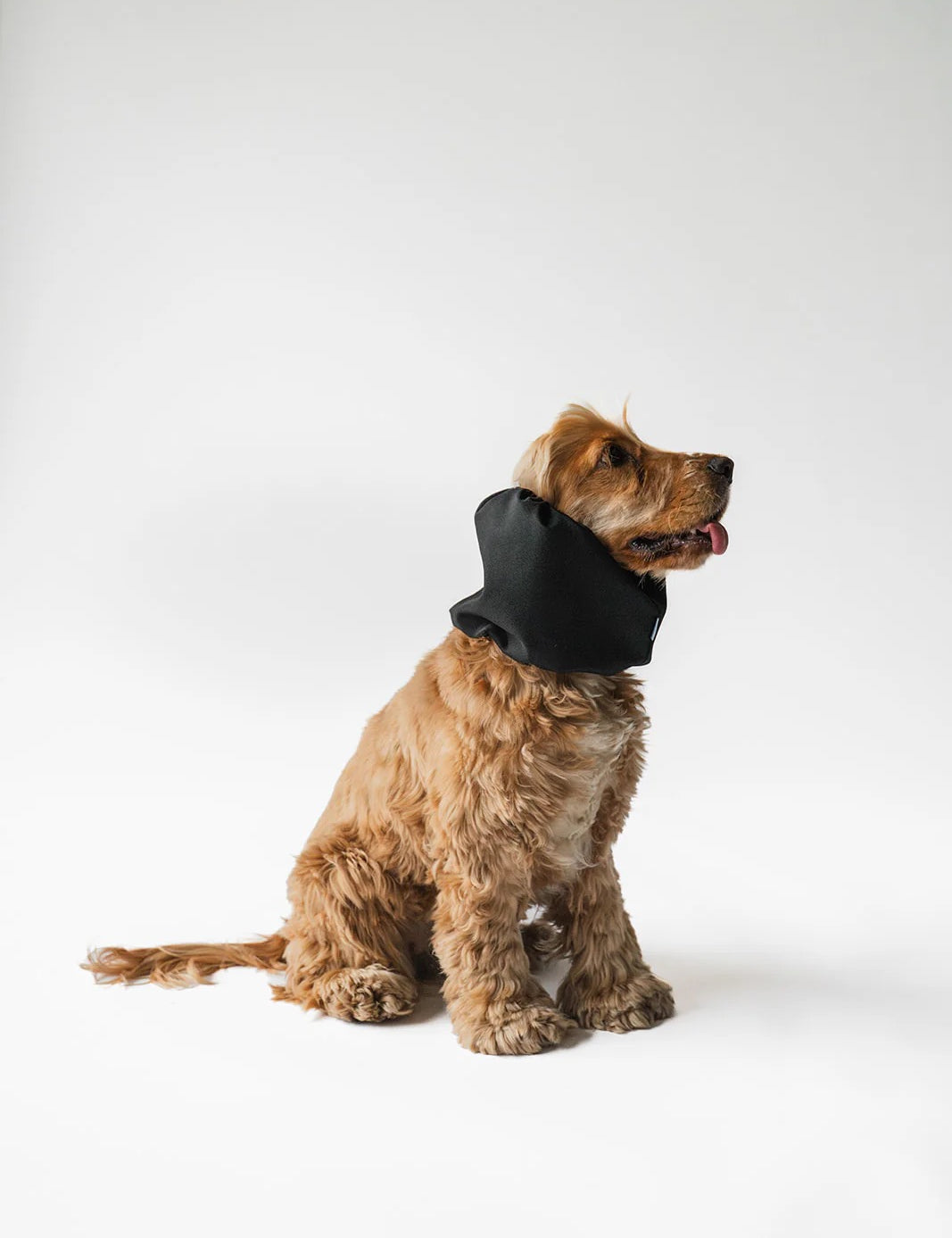 snood-waterproof-noir-3.jpg