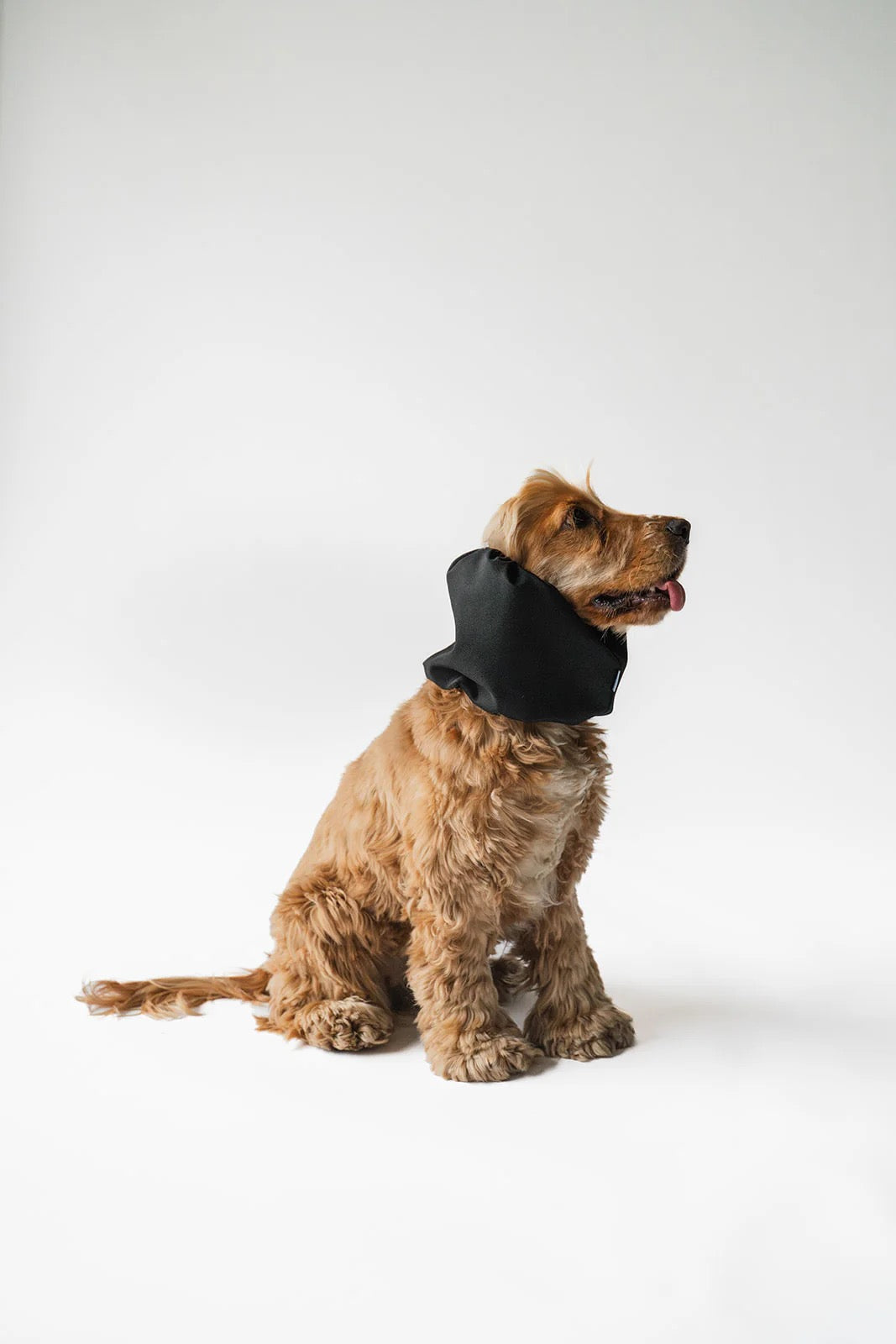 Snood imperméable - Noir