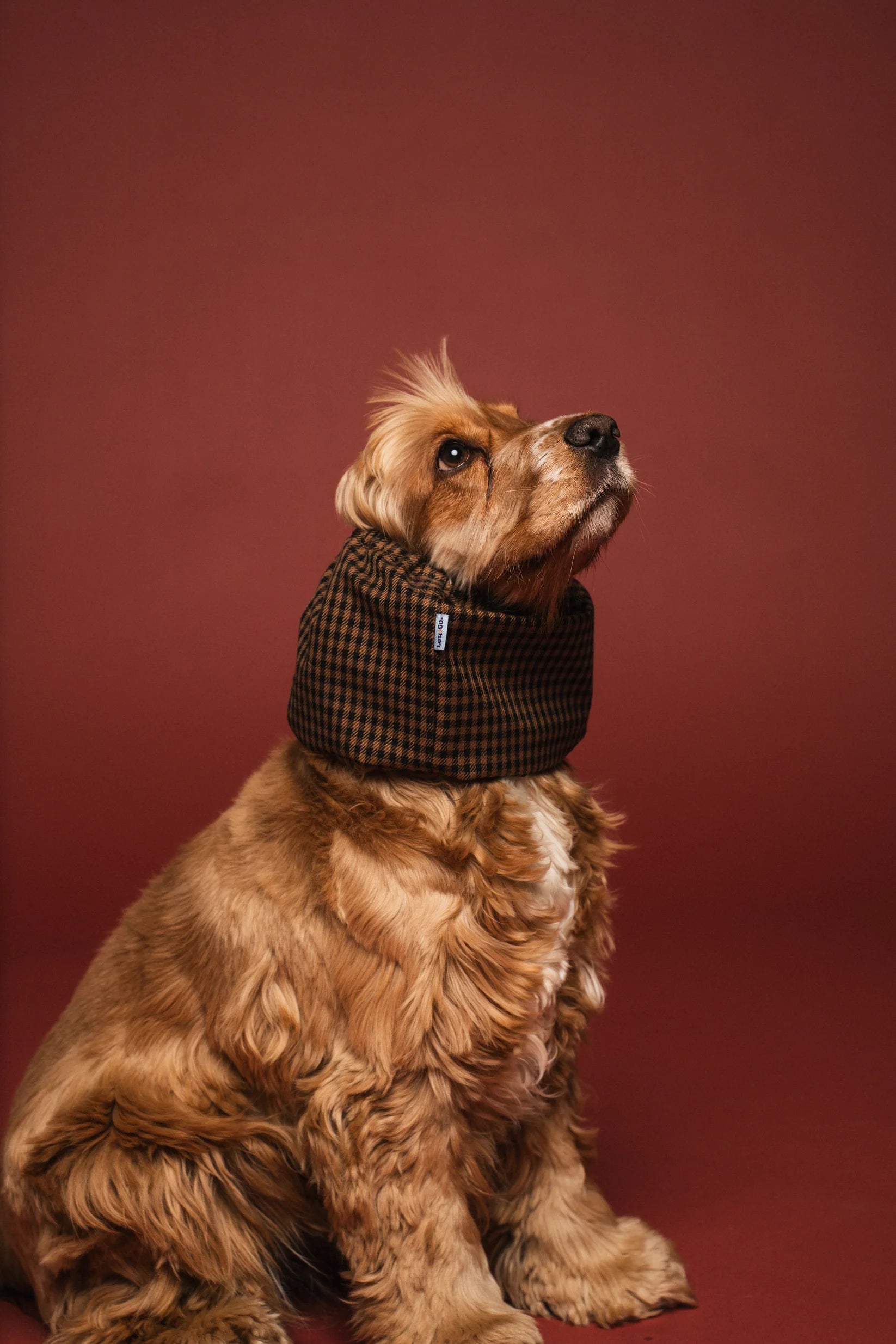 Snood imperméable - Carreaux marrons