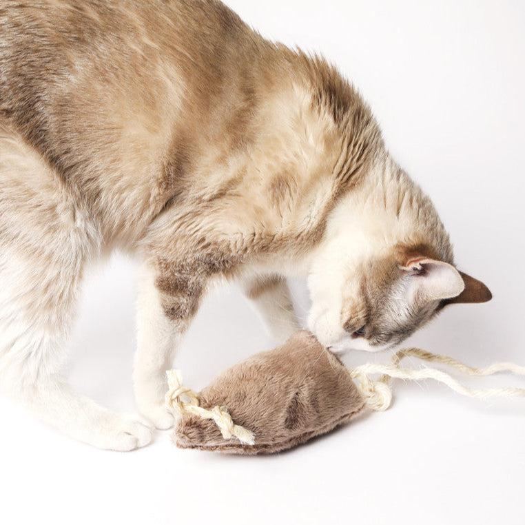 Jouet pour chat à la valériane - La souris