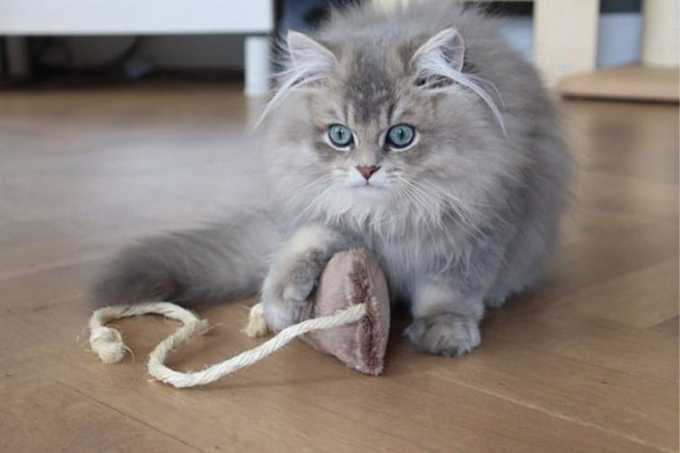 Jouet pour chat à la valériane - La souris