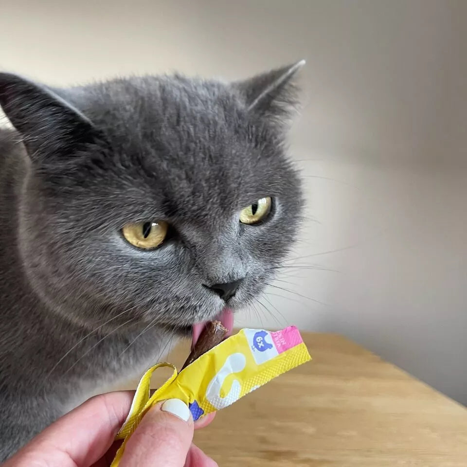 Poulet - Friandise en stick pour chat