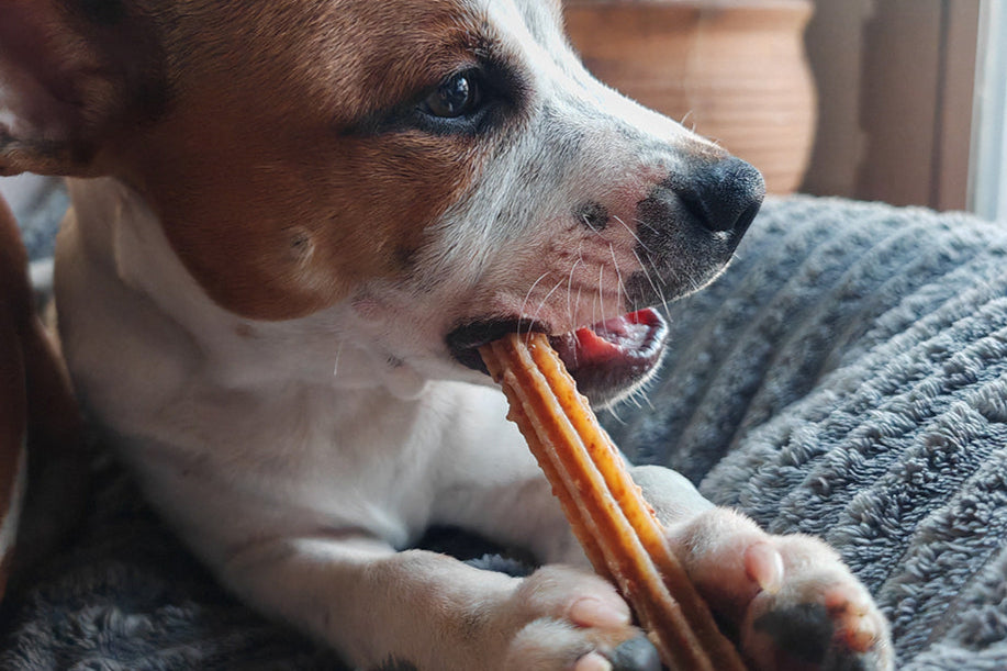 Sticks au fromage - Mastication naturelle