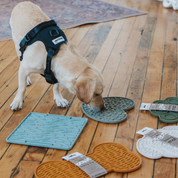 Tapis de léchage - Cœur vert-Tapis de léchage-Dexy Paws-Muzon