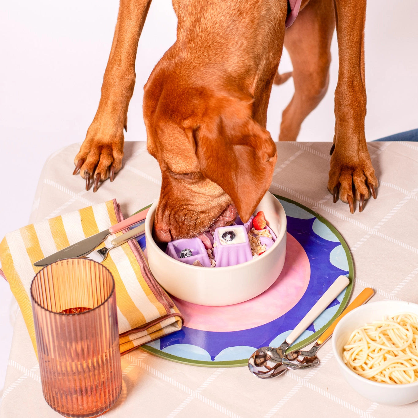 tapisdelechageenreliefpourchiensmauve2.webp