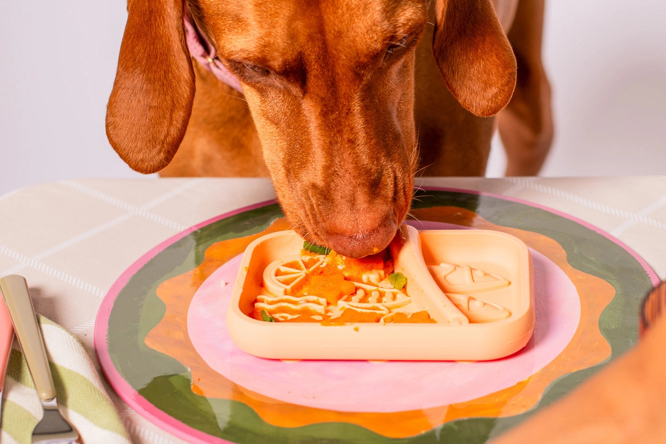 tapisdelechagesardinepourchienssaumon2.png