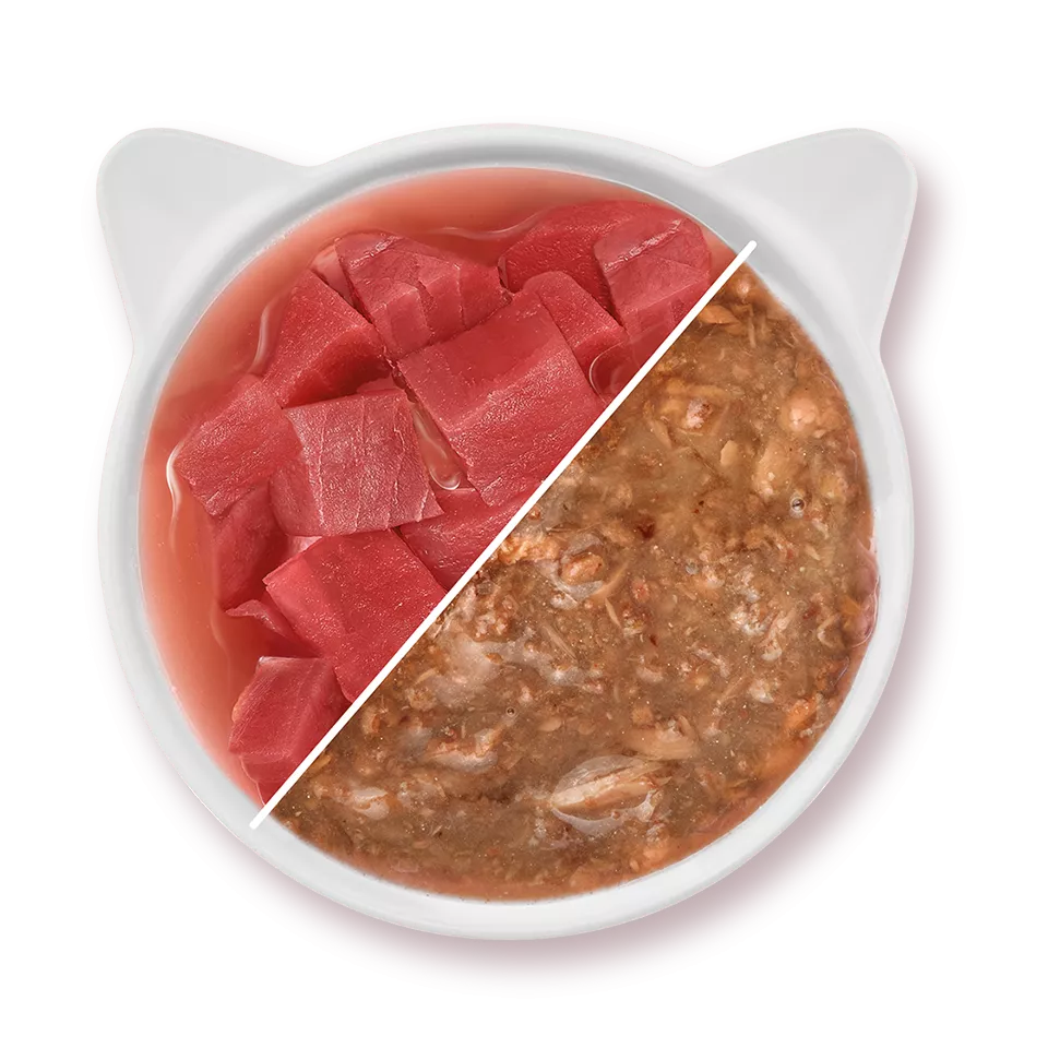 thonensauce2.webp