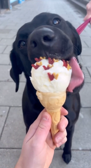 Patate douce et tomate - Friandises naturelles pour chien